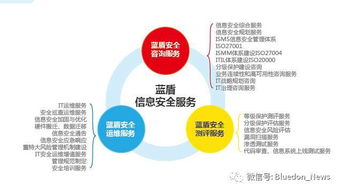 藍(lán)盾安全整體外包服務(wù)解決方案 以信息系統(tǒng)集成為基石，構(gòu)筑全方位信息安全堡壘